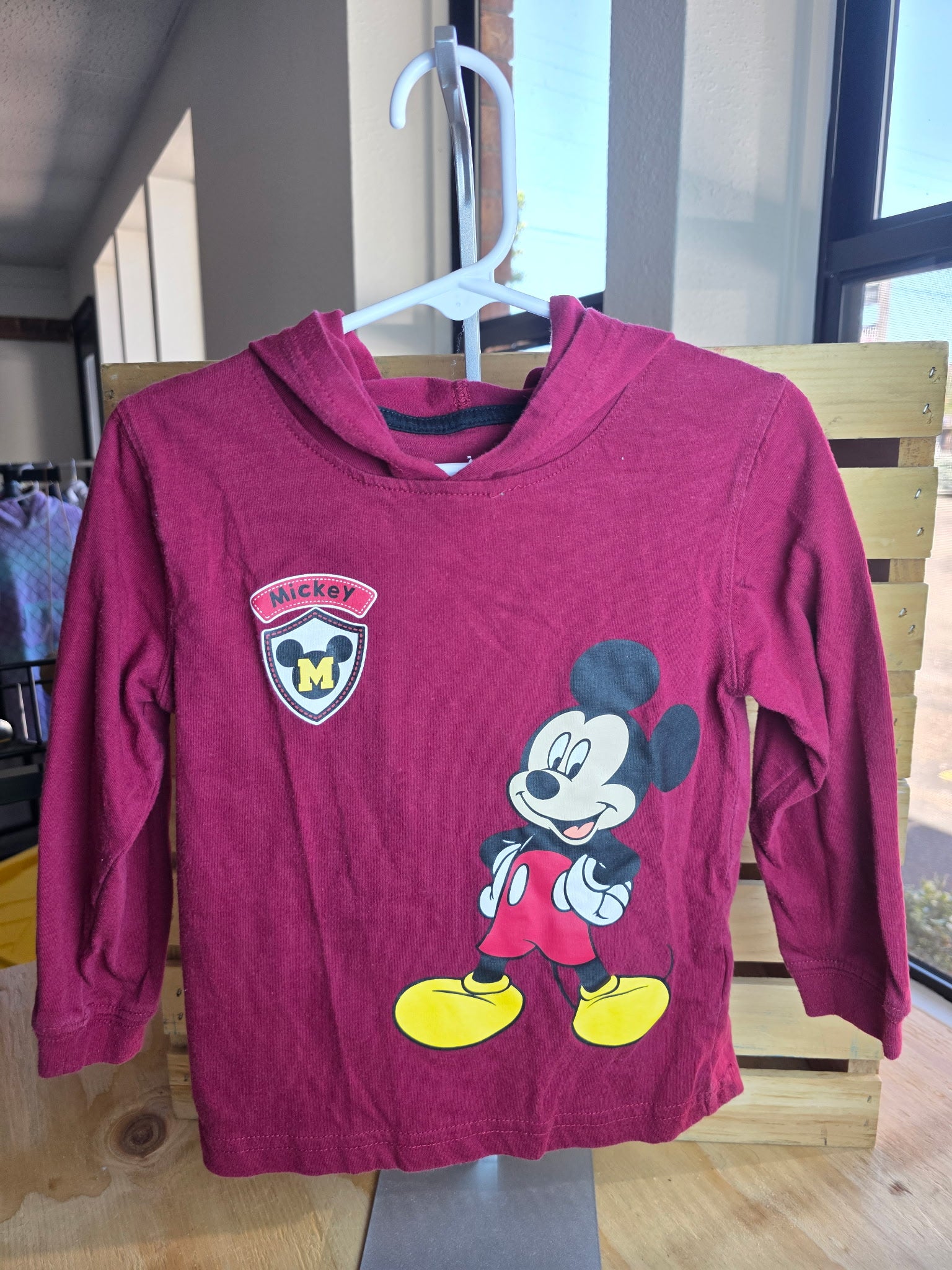 Disney Baby Hooded Long Sleeve 24M