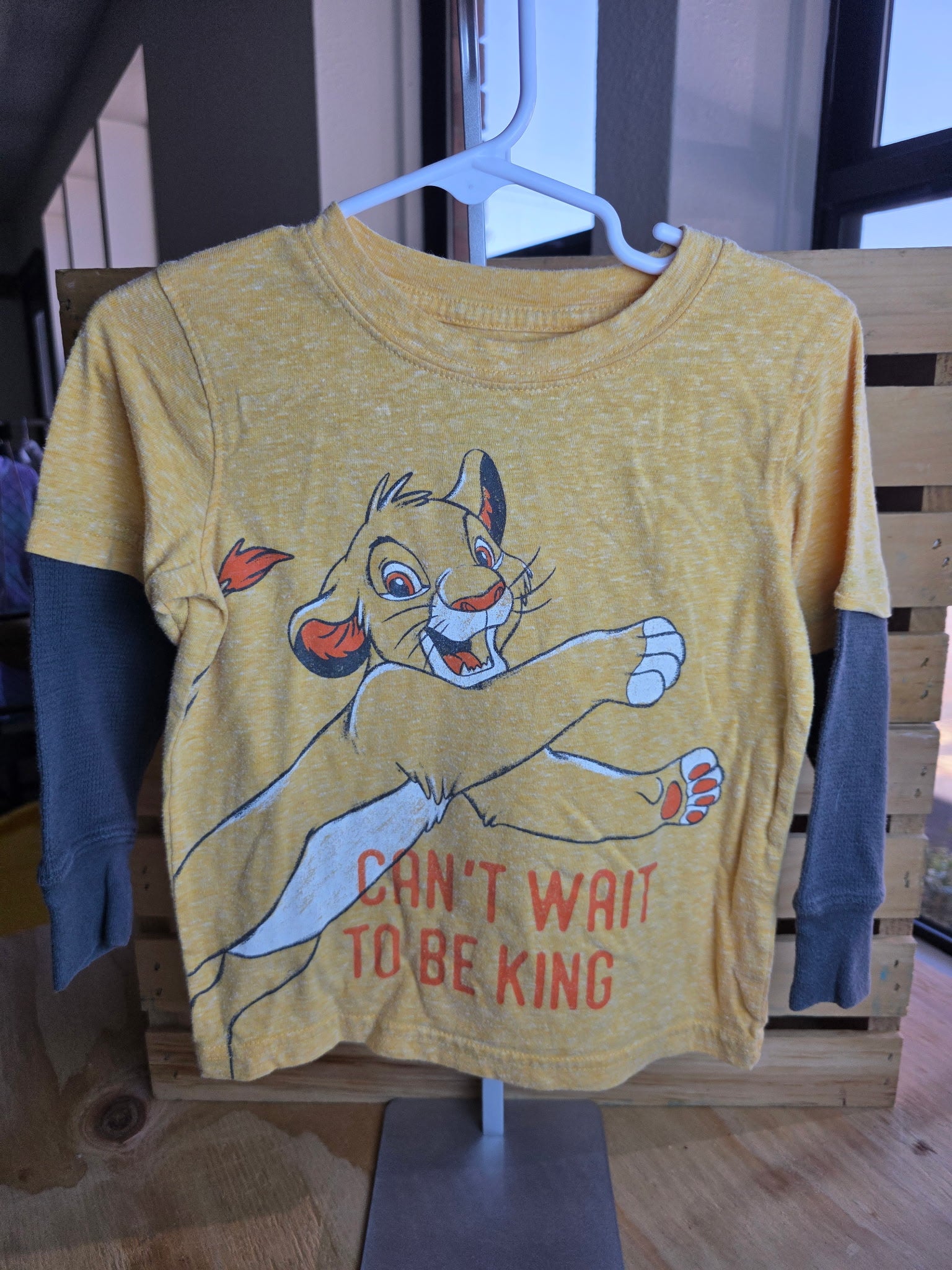 Disney Long Sleeve 2T