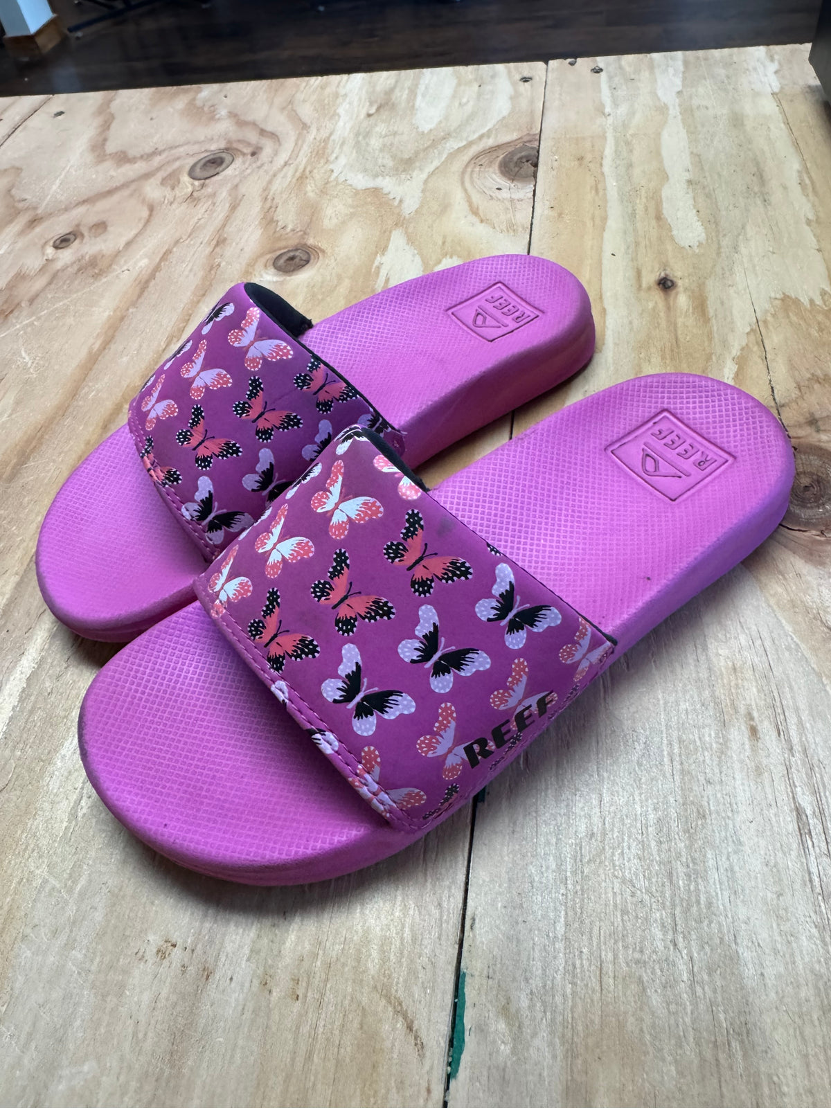 Reef Slides 3