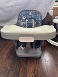 Fisher-Price Booster Seat
