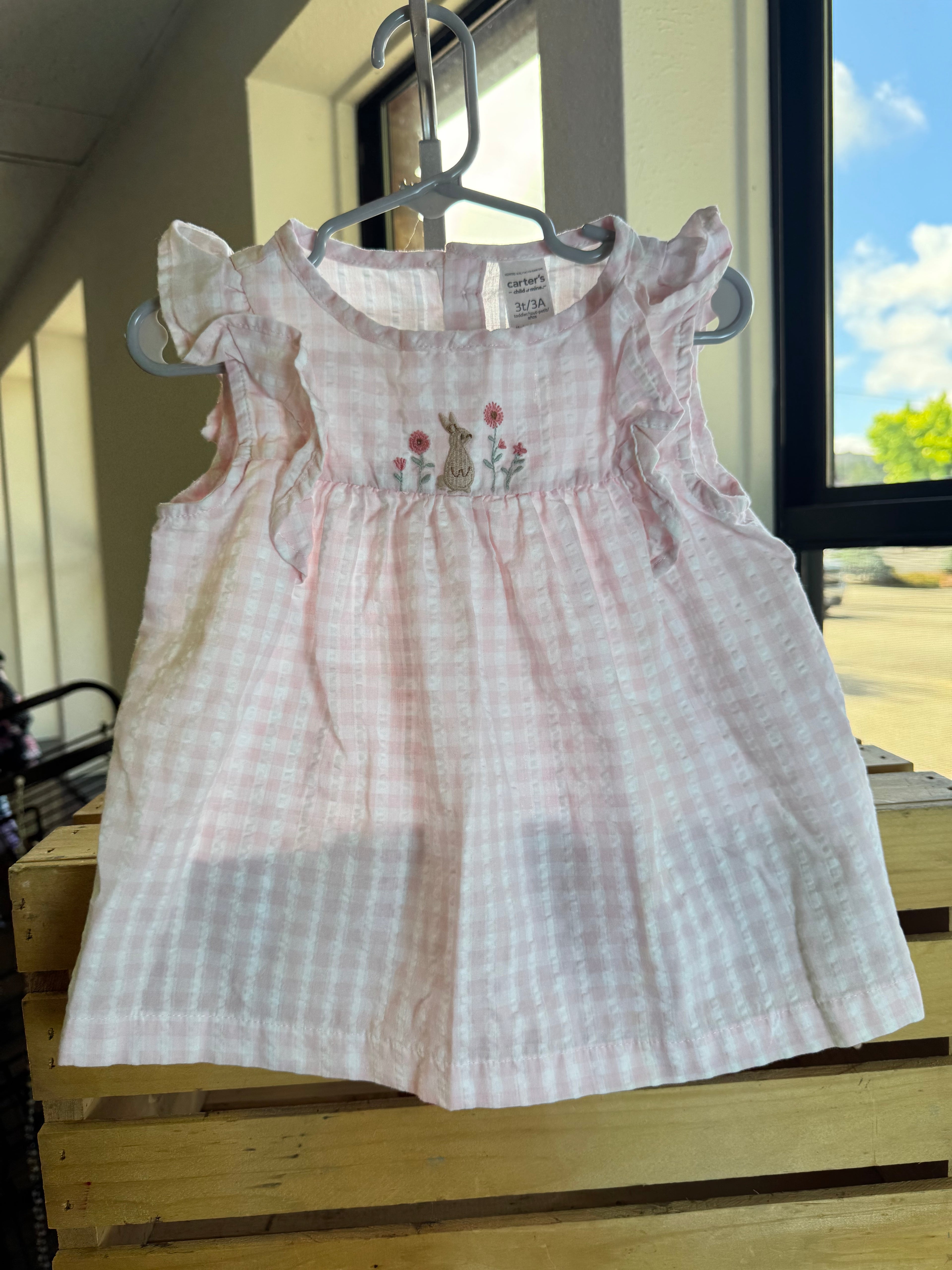 Carter’s Dress 3T
